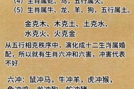 年命与生肖、五行的关系探秘