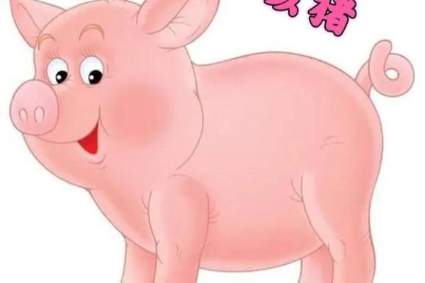 生肖鸡和猪的缘分是否注定 成为理想配对吗 生肖鸡和猪的缘分是否注定 成为理想配对吗