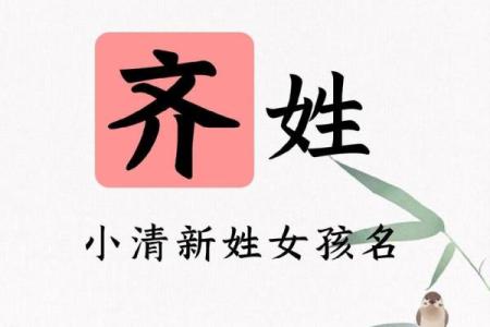 宝宝起名宝典：齐字的独特魅力与寓意分析