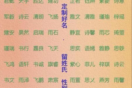 鸡年男宝宝取名的独特灵感与寓意分析