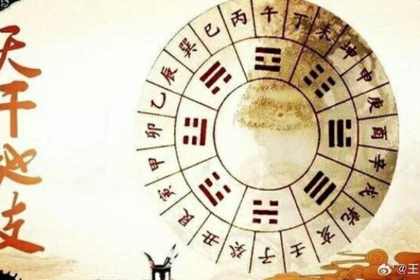 辰出现对命局的独特作用及其预测意义 辰出现对命局的独特作用及其预测意义