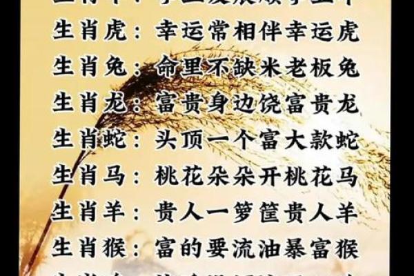 男属马女属鸡的婚姻是否和谐解析 男属马女属鸡的婚姻是否和谐解析