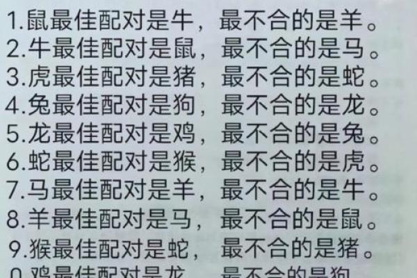 男牛和女狗的婚姻匹配度解析:星座相配与婚姻运势 男牛和女狗的婚姻匹配度解析:星座相配与婚姻运势
