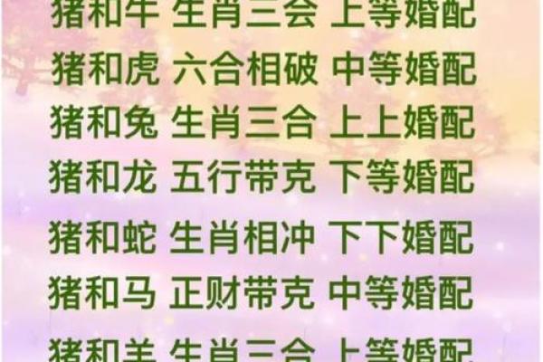 属兔和属猪能走到一起吗?深入分析两者配对 属兔和属猪能走到一起吗?深入分析两者配对