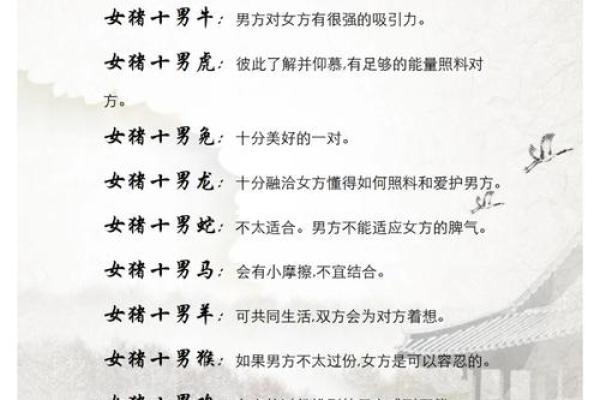 猪兔配对的爱情与婚姻前景 猪兔配对的爱情与婚姻前景