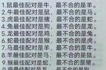 男牛和女狗的婚姻匹配度解析：星座相配与婚姻运势