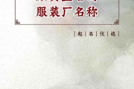 从公司起名龙到品牌成功的跨越之路