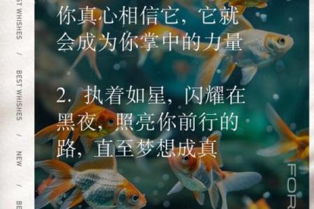 从名字的字义看人生命运的潜在力量