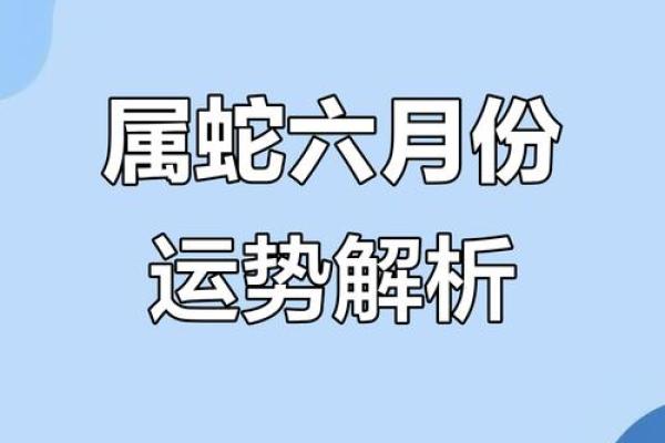 属蛇人每月财运运程分析与建议 属蛇人每月财运运程分析与建议