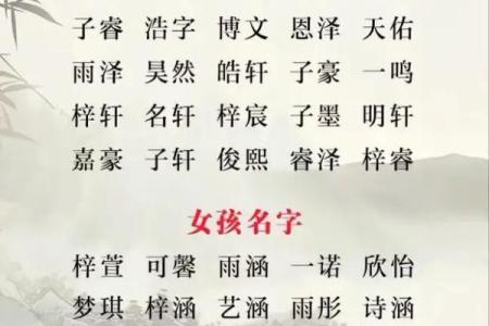 宝宝八字命理起名大全助你选出最合适的名字