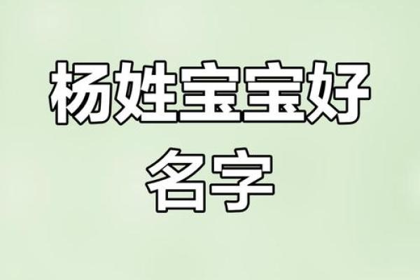 为杨姓鸡宝宝命名的传统与现代结合