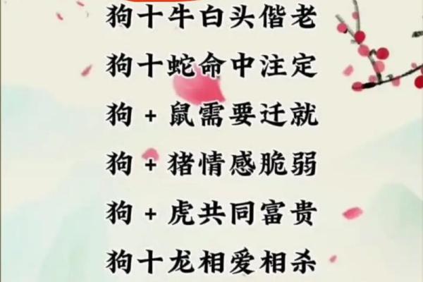 属虎男和属狗女的婚姻匹配度分析 属虎男和属狗女的婚姻匹配度分析