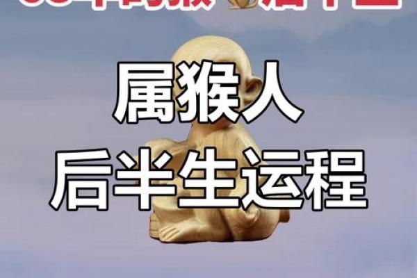 出生猴人的命运走势和运势分析 出生猴人的命运走势和运势分析