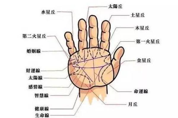 这些手掌特征预示着富贵命运 这些手掌特征预示着富贵命运