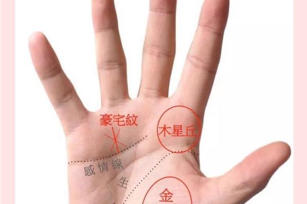 这些手掌特征预示着富贵命运 这些手掌特征预示着富贵命运