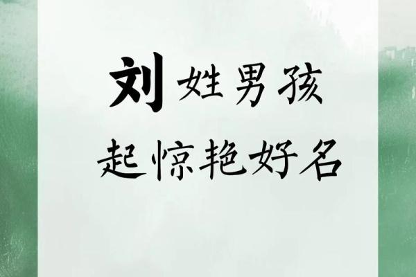 Liu姓宝宝名字推荐与寓意解析