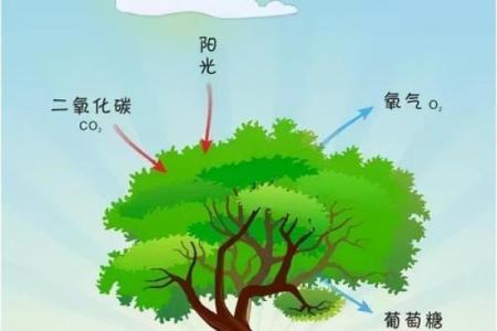 农历，真的是最神秘的月份吗？一探究竟