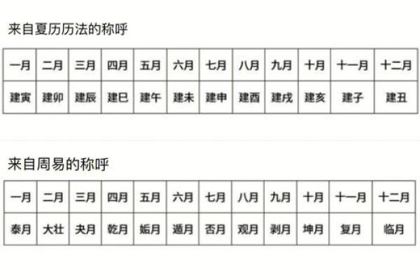 一键掌握万年历，史上最全中文对照表，轻松翻查每一天