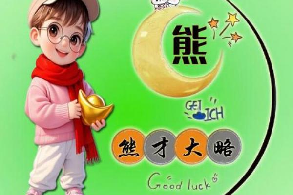 从萌到威猛：为熊起名字的完美指南