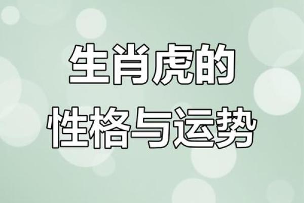 属虎人在本命年如何提升自身竞争力 属虎人在本命年如何提升自身竞争力