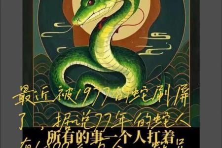 本命年蛇女的五大幸运星