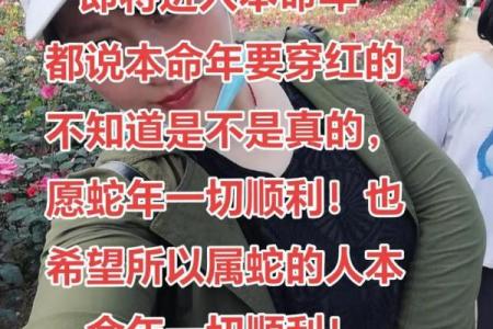 蛇女本命年的事业突破方向