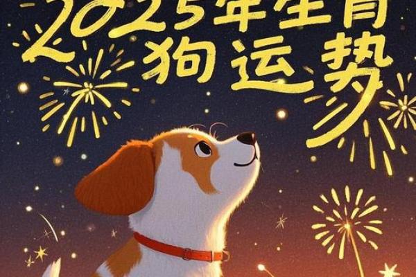 十年运程预测:生肖对未来十年的影响分析 十年运程预测:生肖对未来十年的影响分析