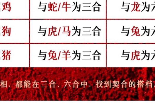 本命年虎男与其他生肖的关系解析 本命年虎男与其他生肖的关系解析