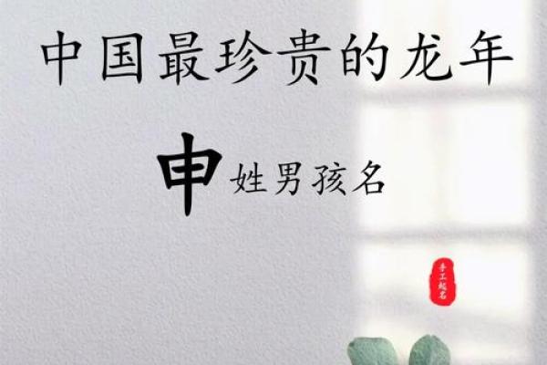 男宝宝起名推荐大全 选择一个既独特又有意义的名字