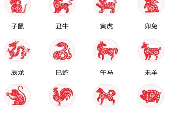 十二生肖顺序的深层含义与文化解读 十二生肖顺序的深层含义与文化解读