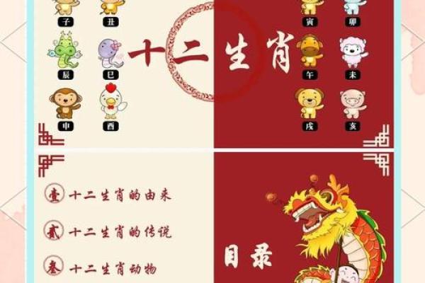 十二生肖顺序的深层含义与文化解读 十二生肖顺序的深层含义与文化解读