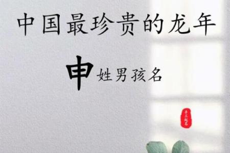 男宝宝起名推荐大全 选择一个既独特又有意义的名字