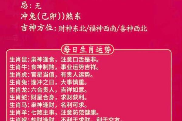 十二生肖运势预测与建议 十二生肖运势预测与建议