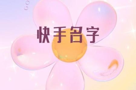 快手家族名字的背后寓意与文化探讨