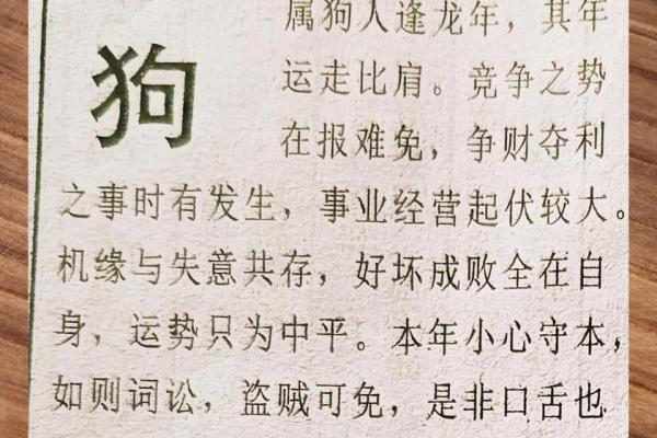 属狗人全年运势详解及注意事项 属狗人全年运势详解及注意事项