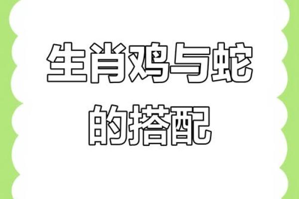 蛇女蛇与女兔兔男男缘的分深厚星吗座配?对星分析座配对解析 蛇女蛇与女兔兔男男缘的分深厚星吗座配?对星分析座配对解析