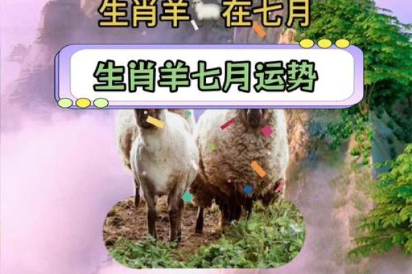 属羊人每月运势解析:财运、事业与感情全方位分析 属羊人每月运势解析:财运、事业与感情全方位分析