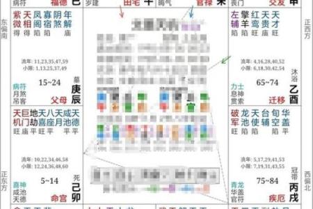 不同出生日期与命运的奇妙关联