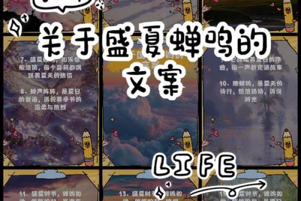 2015年8月：盛夏时光，回忆永恒的月份