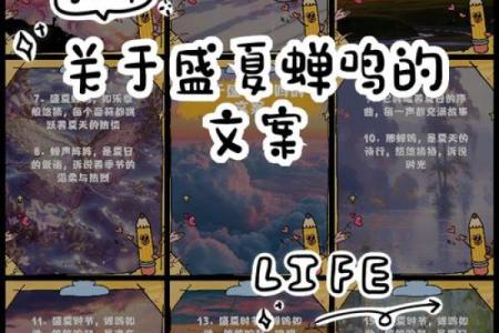 2015年8月：盛夏时光，回忆永恒的月份