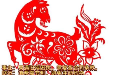 生肖运势全解析，哪些属相运气爆棚