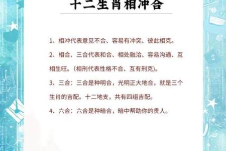 属蛇人与不同生肖的匹配情况