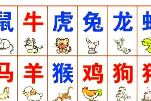 十二生肖运程全面解析 十二生肖运程全面解析