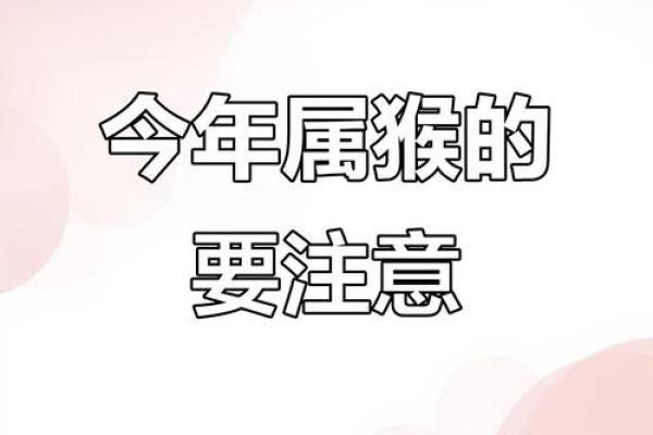 本命年属猴人如何保持工作效率 本命年属猴人如何保持工作效率