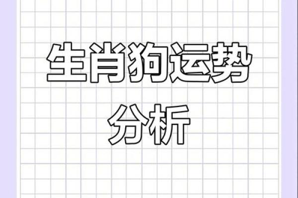 属狗的整体运势分析 属狗的整体运势分析