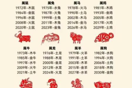 十二生肖运程全面解析