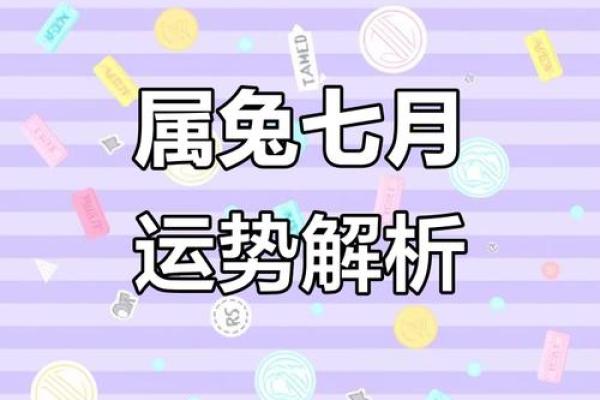 兔子运势逐月分析,掌握每月运程关键 兔子运势逐月分析,掌握每月运程关键