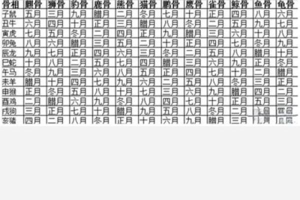 出生的属什么生肖命运特点揭秘 出生的属什么生肖命运特点揭秘