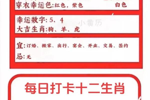 如何通过生肖了解你的十二运程走向 如何通过生肖了解你的十二运程走向
