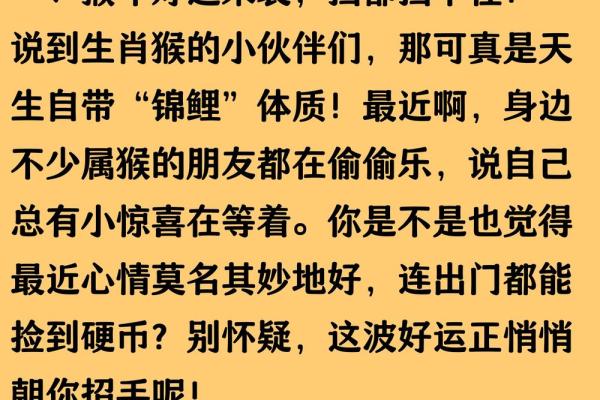 猴运势全面解读：事业、感情与财运预测